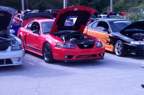 2006 Ford Mustang - A red 2006 Ford Mustang is displayed with its hood open, alongside other vehicles at a car show.