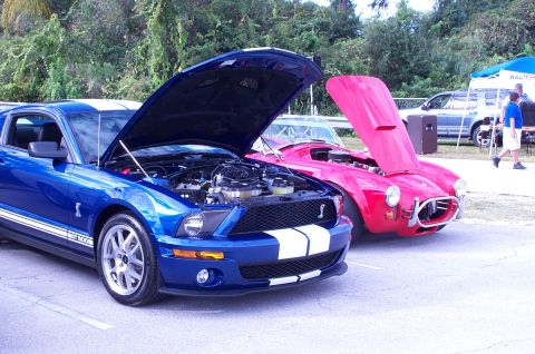 2006 Ford Mustang - Two classic cars, a blue 2006 Ford Mustang GT500 and a red car, are displayed with their hoods open.