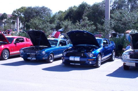 2006 Ford Mustang - Several Ford Mustangs are parked with their hoods open at an outdoor car show.