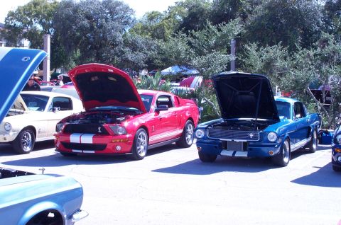 2006 Ford Mustang - A blue 1965 Ford Mustang is displayed with its hood open, alongside other Mustangs.