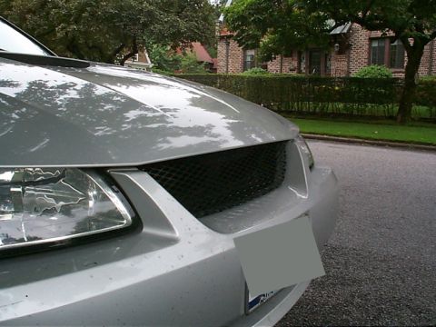 2000 Ford Mustang - Front view of a silver 2000 Ford Mustang with a custom grille.