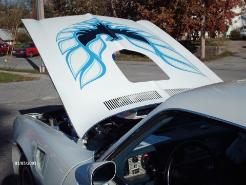 1995 Ford Probe - A classic 1977 Pontiac Firebird Trans Am is displayed with its hood open, a distinctive hood decal.