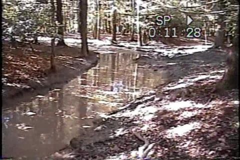 1989 Ford Bronco - A muddy path through a forest, with reflections in the water and a timestamp overlay.