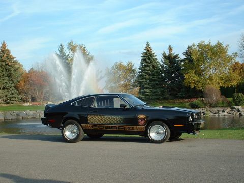 1978 Ford Mustang II - A black 1978 Ford Mustang II Cobra II is parked outdoors near a fountain and trees.