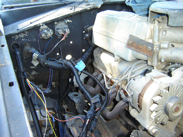 I use the mustange 5.0 wiring harnes. It made things much easier!