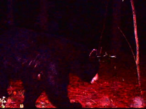 1994 Ford Probe - This image depicts a dark, blurry scene with a red-toned ground and an indistinct object.
