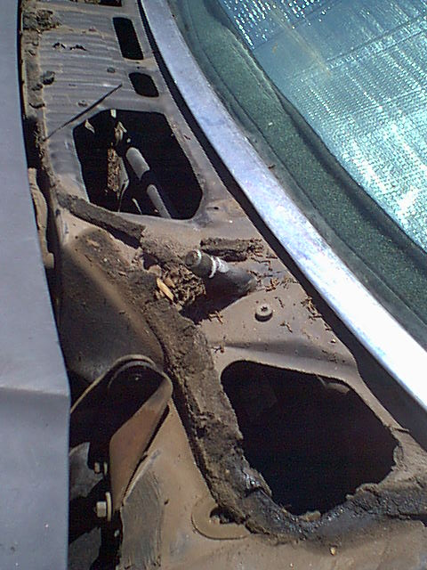 1983 Ford Bronco - Here is another pic of under the stock cowl.