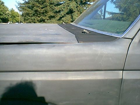 1983 Ford Bronco - here is a side shot. it turned out just ok since the gap was bigger than i liked.