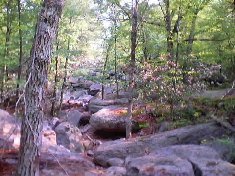 2001 Ford Escape - This is the trail rightly named "Impossible Hill". Anyone wanna try?