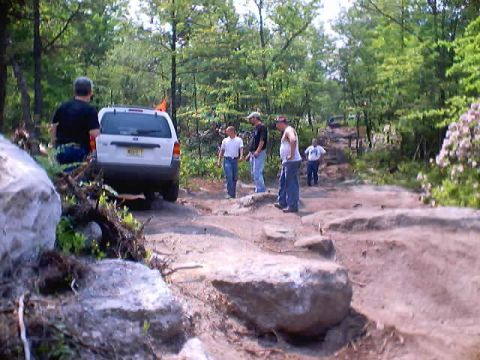 2001 Ford Escape - He's OK everyone. Houdini, the Great Escape lives to 'wheel another day!