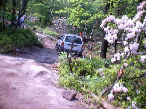 2001 Ford Escape - And now, for my next trick...