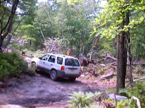 2001 Ford Escape - A white SUV navigates a rough, wooded trail.