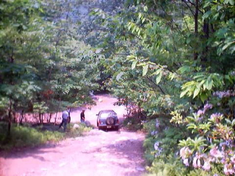 2001 Ford Escape - 2001 Ford Escape on a dirt road surrounded by trees. Two people are visible near the SUV.