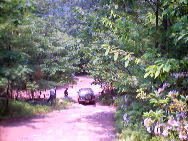 2001 Ford Escape parked on a dirt road with trees on either side. Two people stand near the vehicle