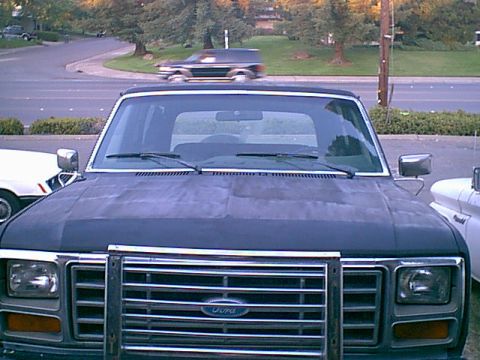 1983 Ford Bronco - the next paint was the hood.