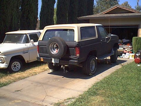 1983 Ford Bronco - this is looking like a whole different truck now