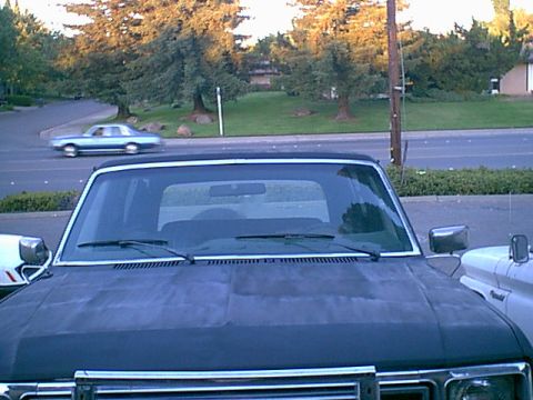 1983 Ford Bronco - another shot of the hood