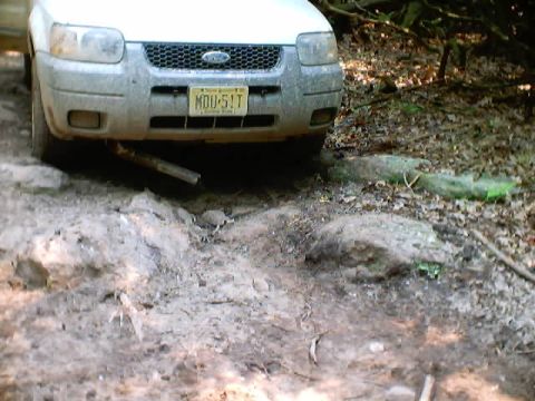 2001 Ford Escape - Oh, the carnage...Oh the humanity!!