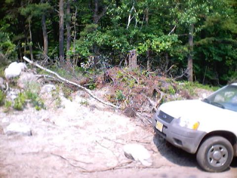2001 Ford Escape - A white SUV is parked on a dirt road, surrounded by trees and brush.