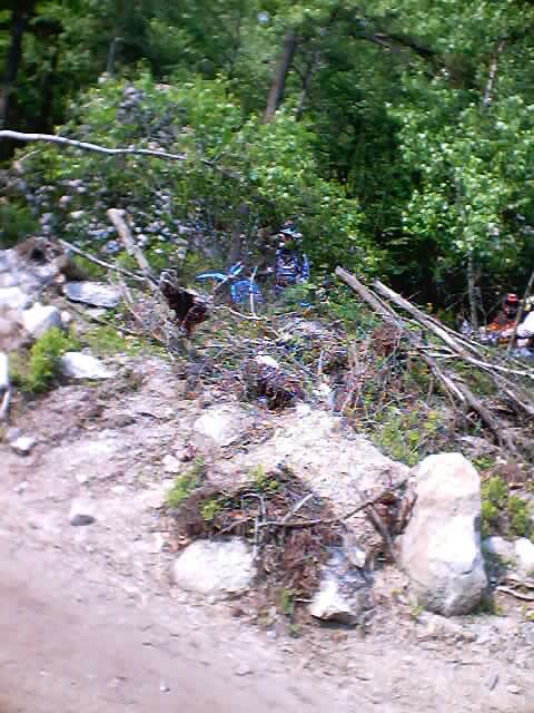 2001 Ford Escape - A scene depicts two individuals amidst dense foliage and rocky terrain, with one person seated on a blue item.