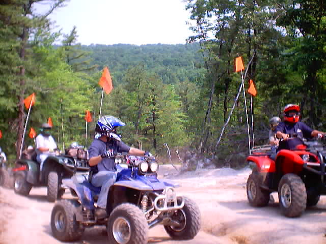 Several ATVs with orange safety flags ride on a dirt path through a wooded area