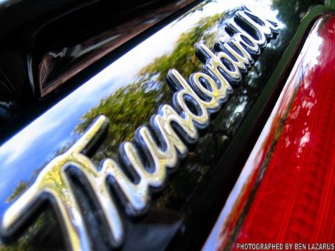 1997 Ford Thunderbird - Chrome Thunderbird emblem reflects trees and sky on the car's black finish, next to a red taillight.