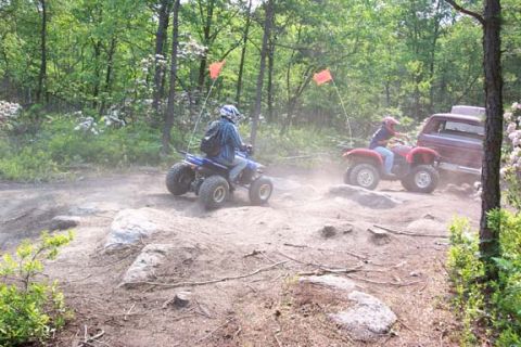 2001 Ford Escape - Quads were buzzing around like flies.