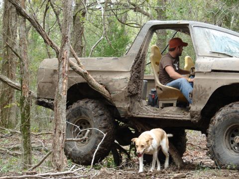 1996 Ford Bronco - Franks bronco finding some trees