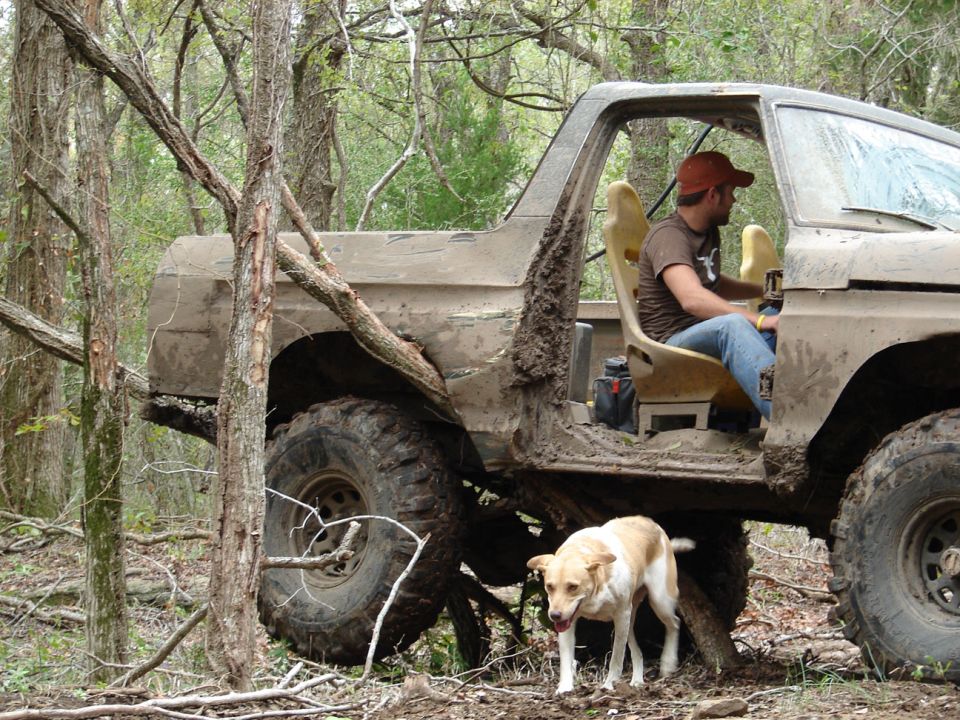 Franks bronco finding some trees