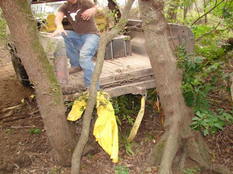 1996 Ford Bronco - franks trees