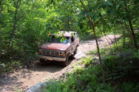 2001 Ford Escape - A brown SUV navigates a rough, unpaved path surrounded by dense green foliage.