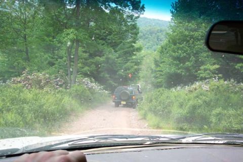 2001 Ford Escape - A 2001 Ford Escape navigates a wooded dirt road, kicking up dust.