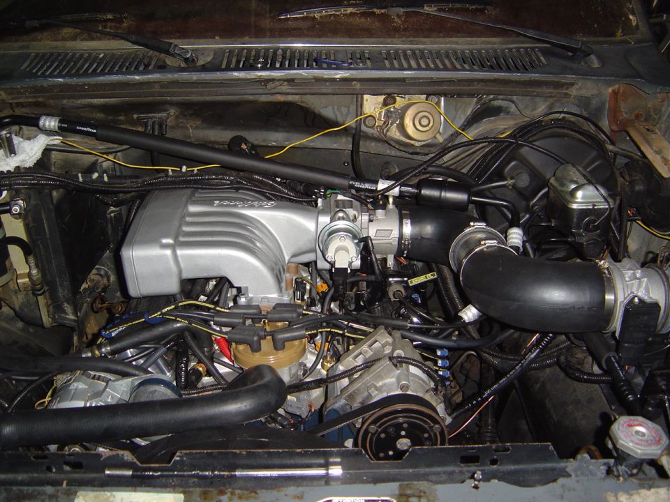 Ford V8 engine bay with aluminum intake manifold, throttle body and black intake tube