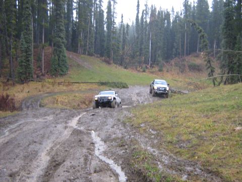 1995 Ford Bronco - Two SUVs drive through a muddy, off-road trail surrounded by a dense forest.