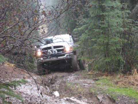 1995 Ford Bronco - A white Dodge Ram pickup truck navigates a muddy path through a dense forest.