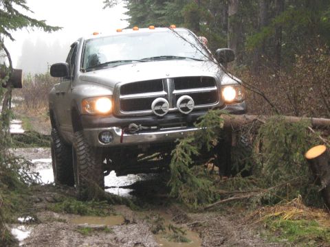 1995 Ford Bronco - A silver pickup truck navigates a muddy forest path obstructed by fallen trees.