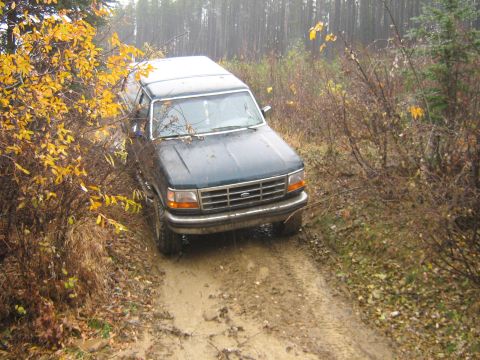 1995 Ford Bronco - A 1995 Ford Bronco navigates a wet, wooded path during autumn.