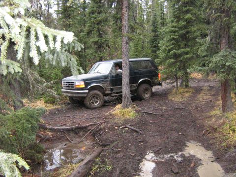1995 Ford Bronco - A dark green 1995 Ford Bronco navigates a muddy, wooded path.