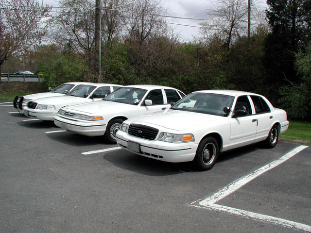 Four white Ford Crown Victoria police cars parked in a lot. The closest car is angled towards the viewer