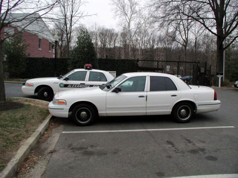 1998 Ford Crown Victoria - Two white police sedans are parked side-by-side, with the closest one showing "ALEXANDRIA POLICE" on its door.