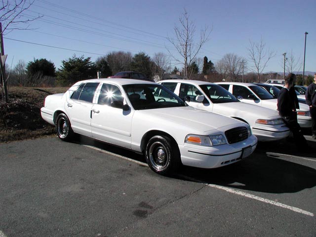White Ford Crown Victoria with police-style steel wheels parked among other white Crown Victorias