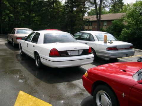 1998 Ford Crown Victoria - A white 1998 Ford Crown Victoria sedan is parked on a wet surface, with other vehicles visible in the background.