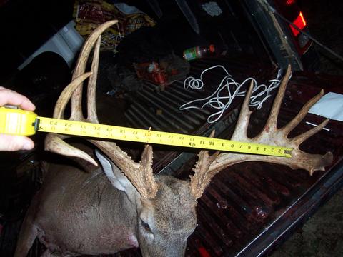 1996 Ford F-150 - A hunter measures a large set of deer antlers in the bed of a pickup truck, with the Supermotors.net logo visible in the corner.