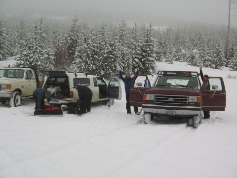 1991 Ford Bronco photo