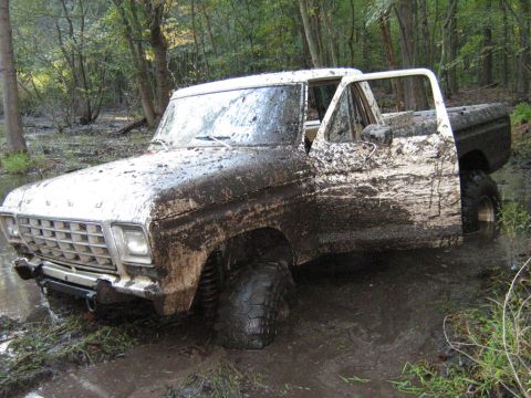 1990 Ford Bronco - This heavily mud-splattered pickup truck is stuck in a muddy, wooded area. The grille design suggests it is a 1979 model.