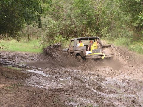1979 Ford Bronco photo