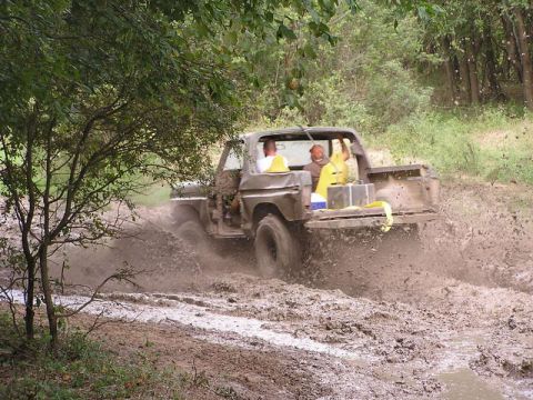 1979 Ford Bronco photo