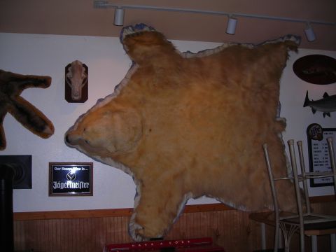 2003 Jeep TJ - A large mounted animal hide is displayed on a wall, accompanied by various decorative items and signage.
