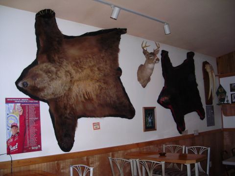 2003 Jeep TJ - Wall decor includes taxidermied animal pelts and a mounted deer head, with a table and chairs in the foreground.