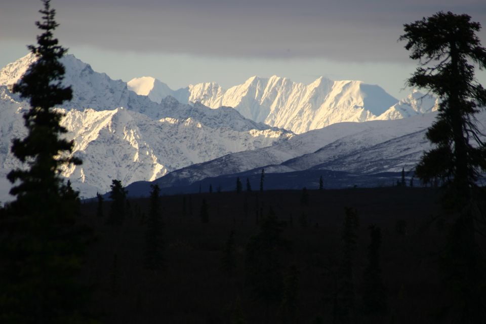 Snow-covered mountain range under a cloudy sky, with dark evergreen trees in the foreground